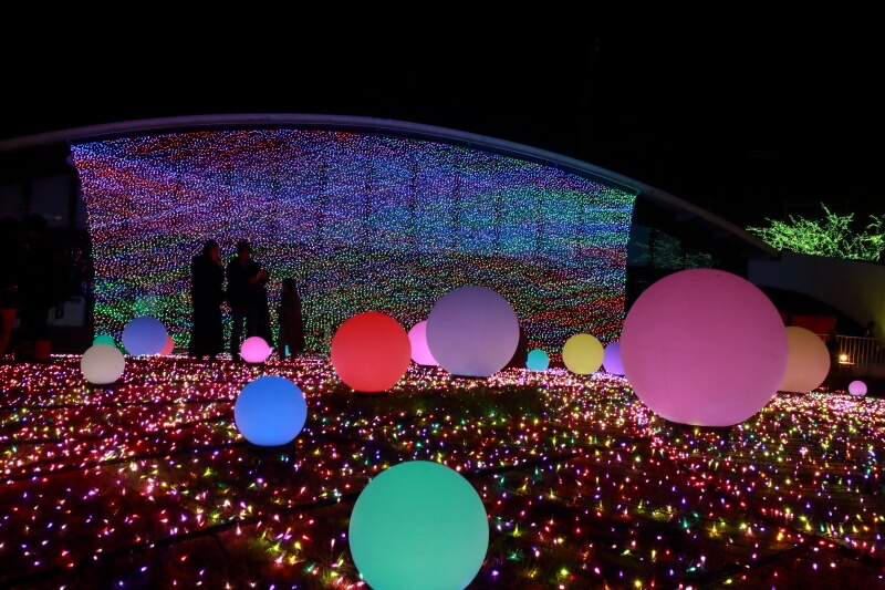 f:id:polepole103:20201114190130j:plain