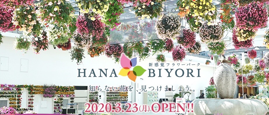 f:id:polepole103:20201121153708j:plain