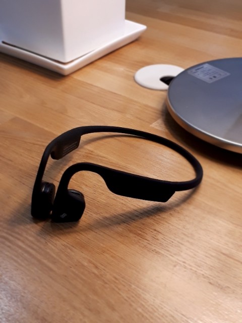 f:id:polepole103:20210201220156j:plain