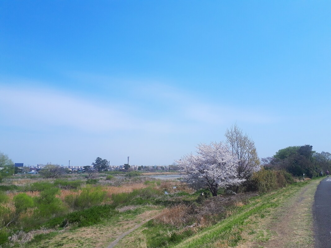 f:id:polepole103:20210327180056j:plain