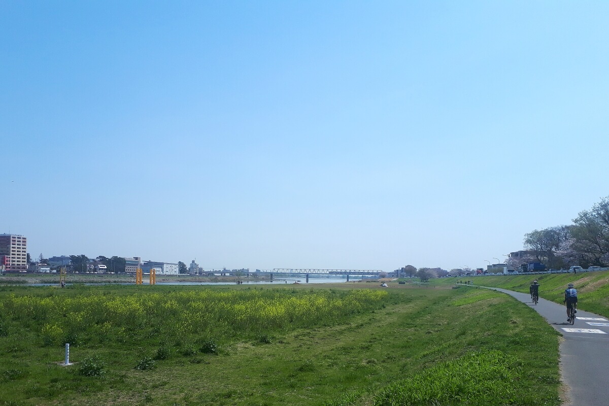 f:id:polepole103:20210327180445j:plain