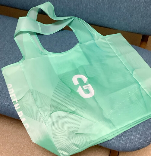 f:id:polepole103:20210531205243j:plain