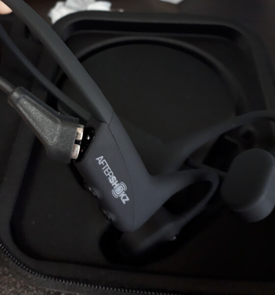 f:id:polepole103:20210619132549j:plain