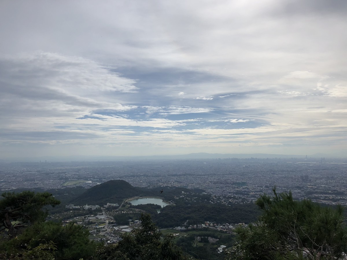 f:id:polepole_tea:20190928085344j:plain f:id:polepole_tea:20190928085344j:plain