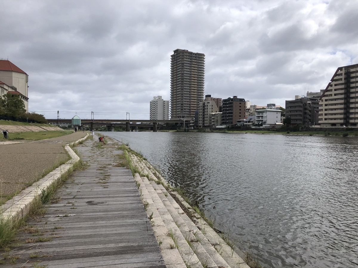 f:id:polepole_tea:20191013124722j:plain f:id:polepole_tea:20191013124722j:plain
