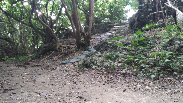 f:id:polipG:20200114152639j:image