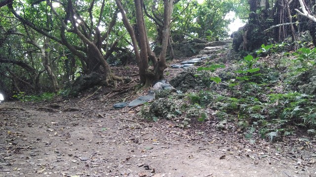 f:id:polipG:20200114152701j:image