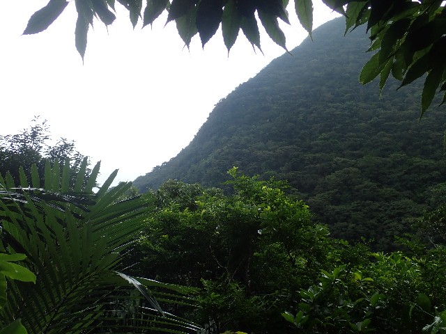 f:id:polipG:20201128000658j:image