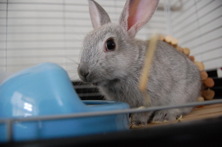 f:id:politakuma:20071021113159j:image f:id:politakuma:20071021113159j:image