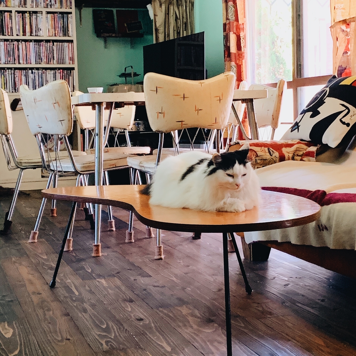 f:id:polkasha:20191011200331j:plain