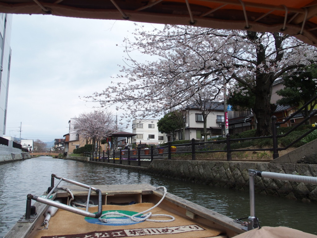 f:id:pollyanna:20160330123813j:plain