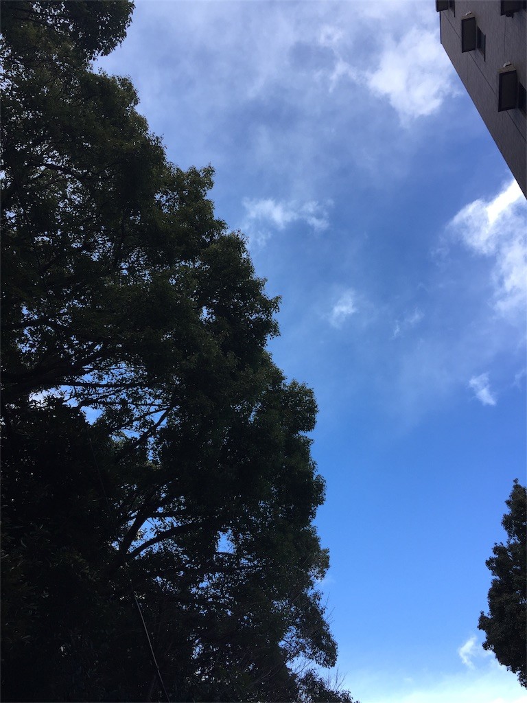 f:id:pollyanna:20170117113147j:image f:id:pollyanna:20170117113147j:image