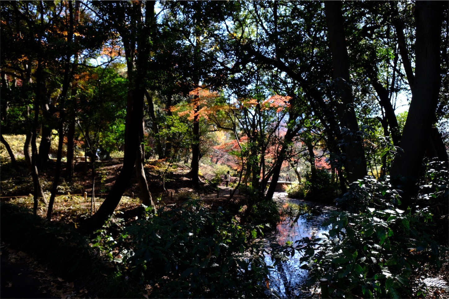 f:id:pollyanna:20171209081235j:image