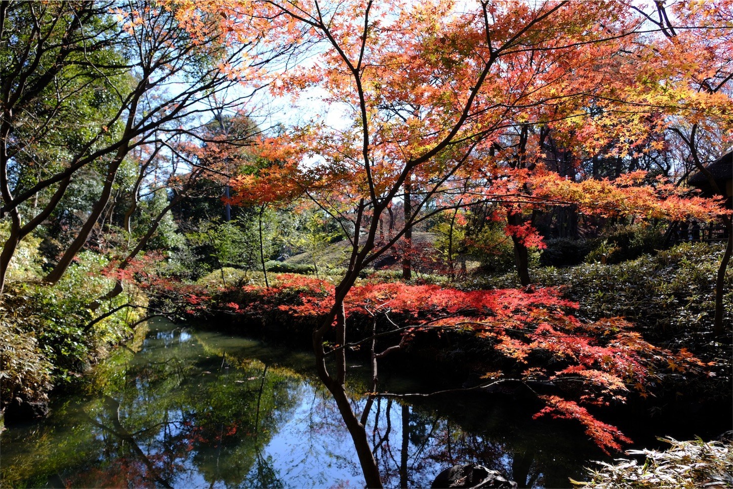 f:id:pollyanna:20171209081423j:image