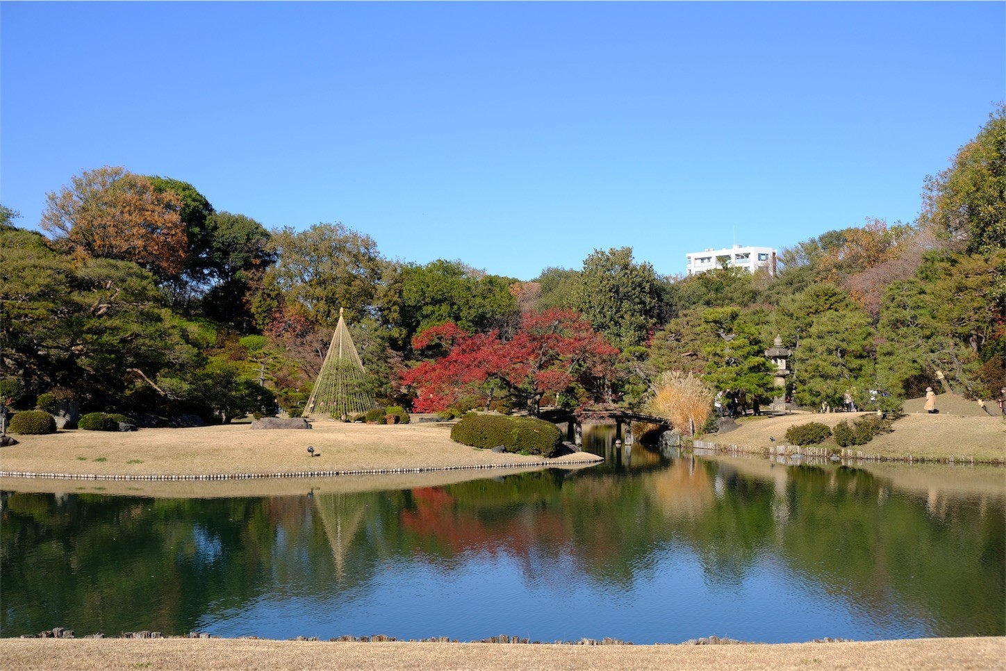 f:id:pollyanna:20171209081526j:image