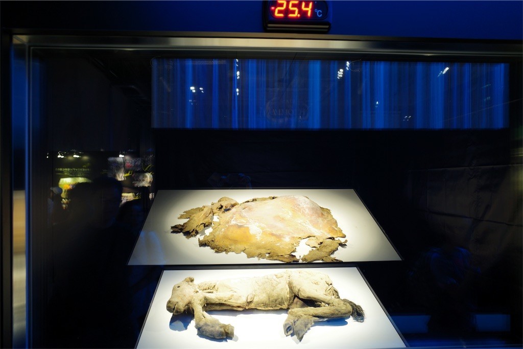 f:id:pollyanna:20190826211649j:image