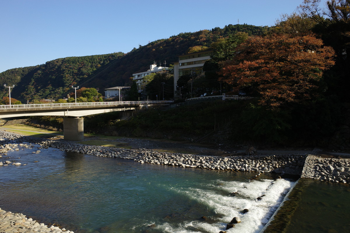 f:id:pollyanna:20191116140140j:plain