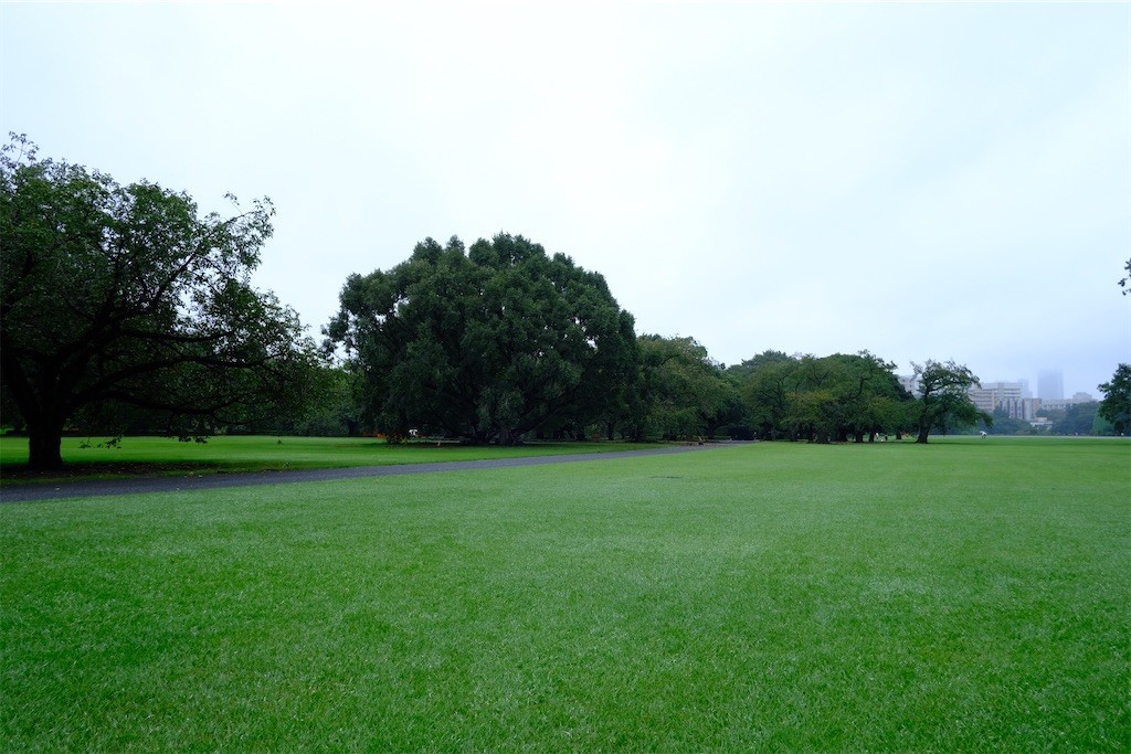 f:id:pollyanna:20200926192615j:plain