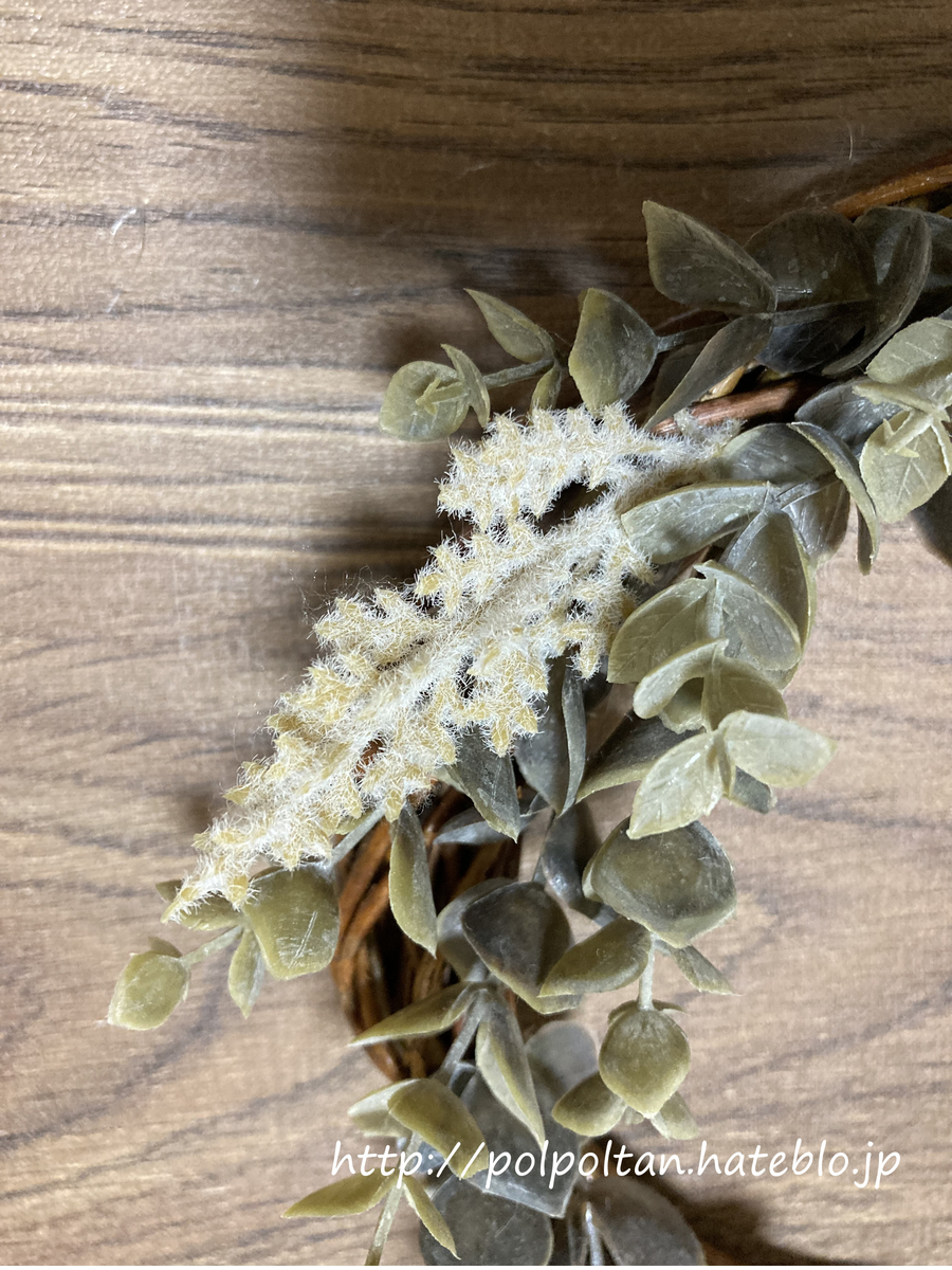 アクセントの白っぽい葉