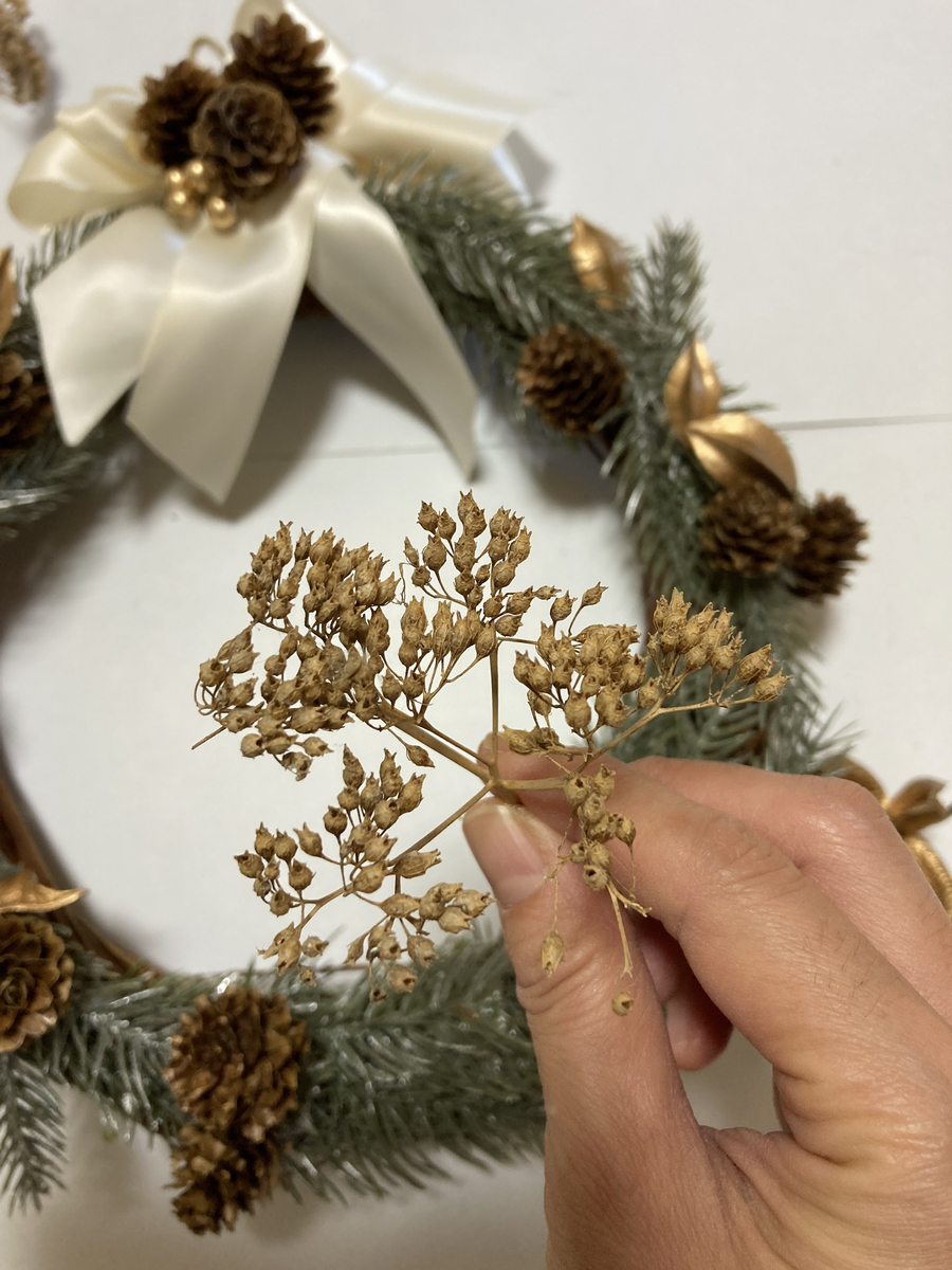 枯れた花の拡大