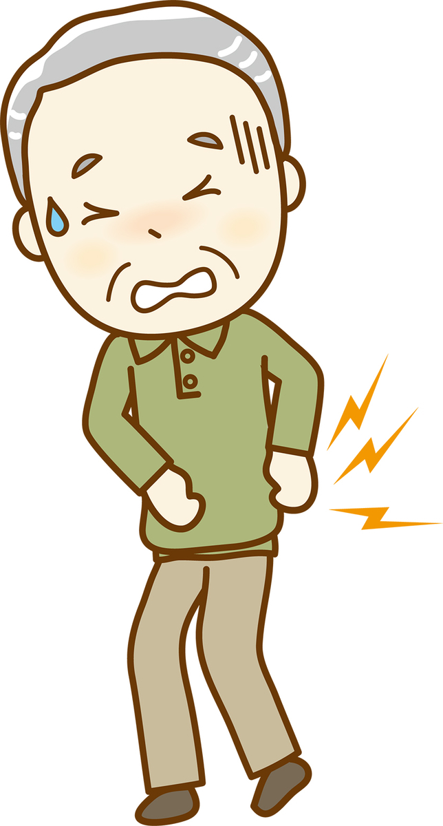 f:id:pomachan2020:20201203160200j:plain