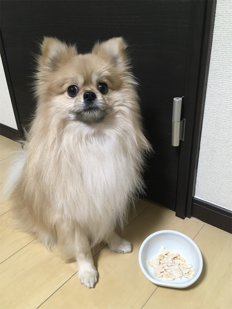 f:id:pomegoma:20210204212428j:image