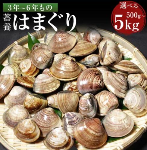 青空レストラン】はま王(ハマグリの王様)のお取り寄せ！三重県桑名市