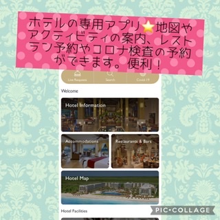 f:id:pomepome-indy7:20220323041642j:plain