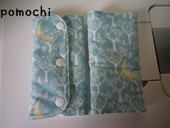 IMGP0915