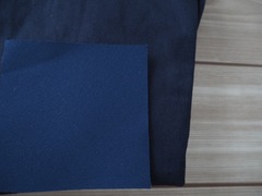 P2100983