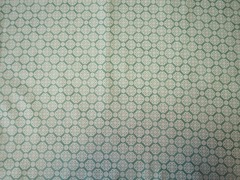 kiji-race-green