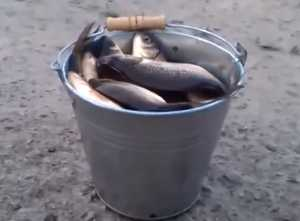 f:id:pompom0809:20161130023738p:plain f:id:pompom0809:20161130023738p:plain