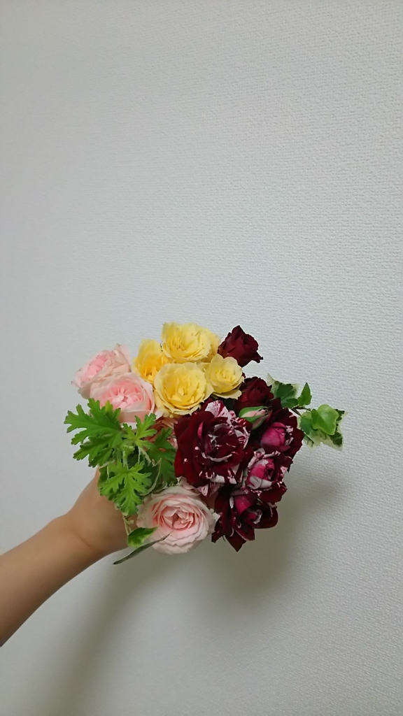f:id:pompomminmin:20170520223744j:plain