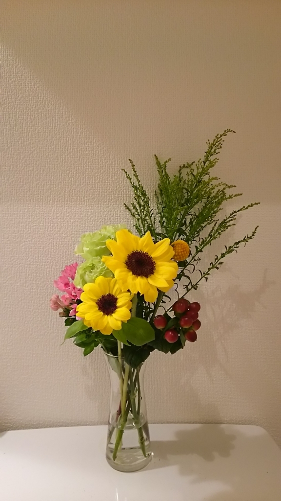 f:id:pompomminmin:20170606205429j:plain