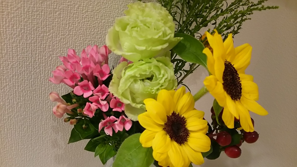 f:id:pompomminmin:20170606205629j:plain