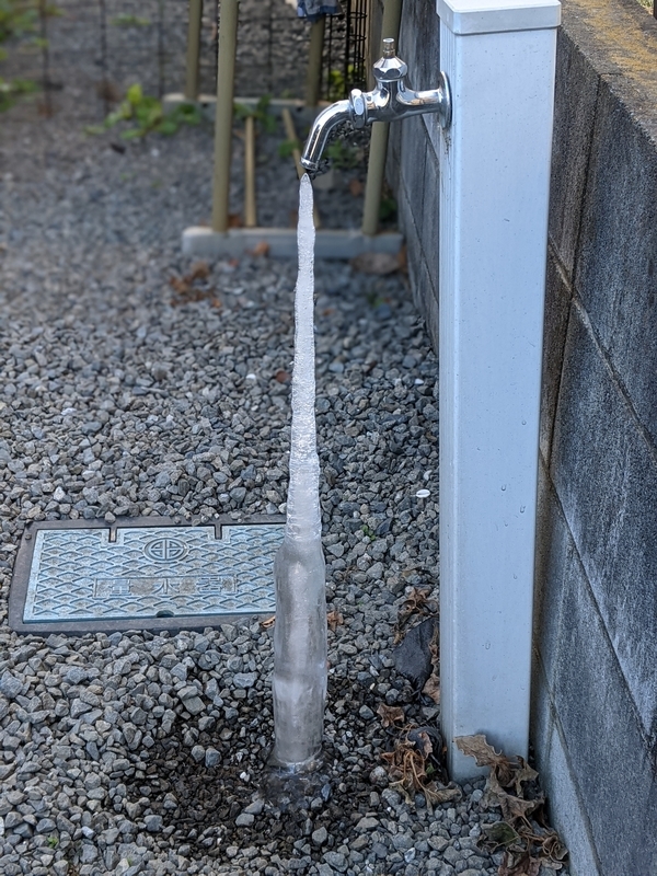 f:id:pomuresica96:20210110203316j:plain