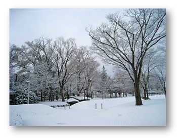 仙台国際センターの朝の様子