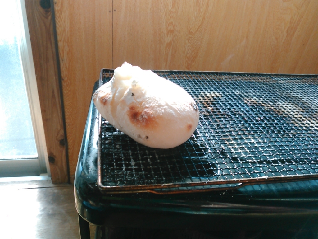 f:id:pon-pon-sun-gun:20190103095241j:plain