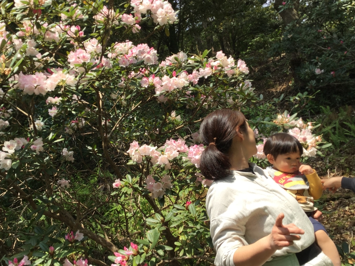 f:id:pon-pon-sun-gun:20190403232212j:plain