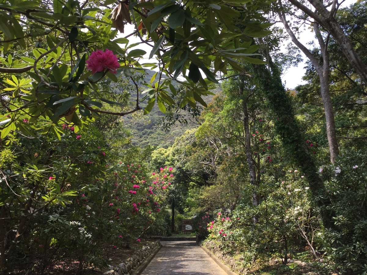 f:id:pon-pon-sun-gun:20190403232902j:plain