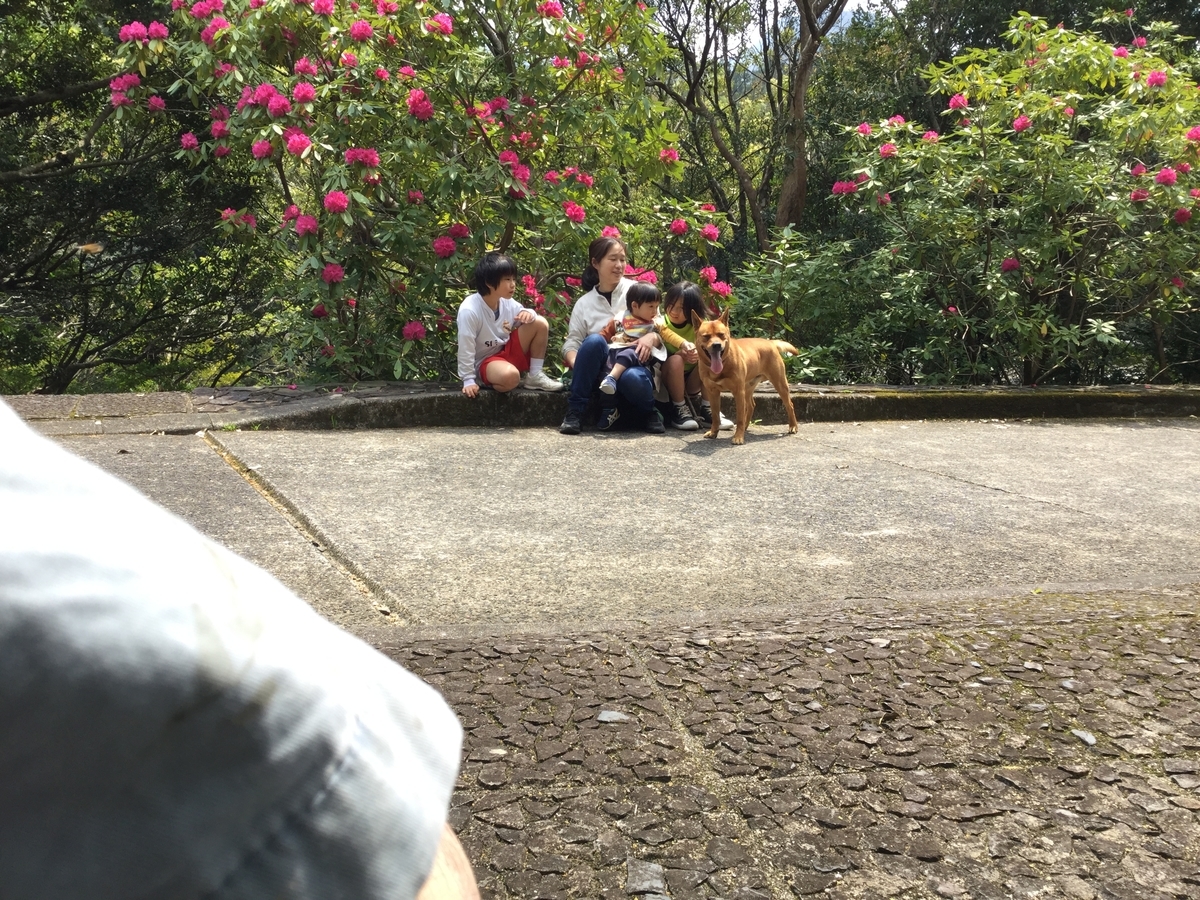 f:id:pon-pon-sun-gun:20190403233245j:plain