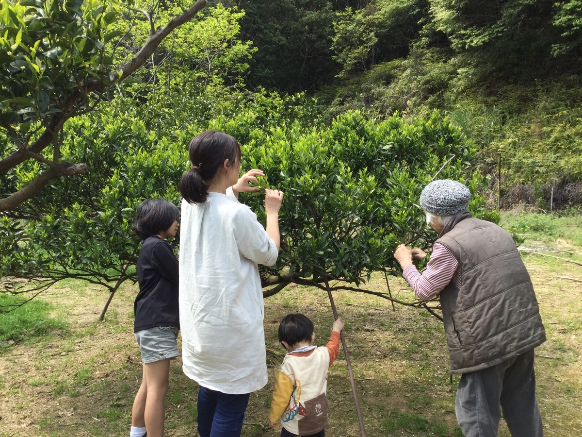f:id:pon-pon-sun-gun:20190403234103j:plain