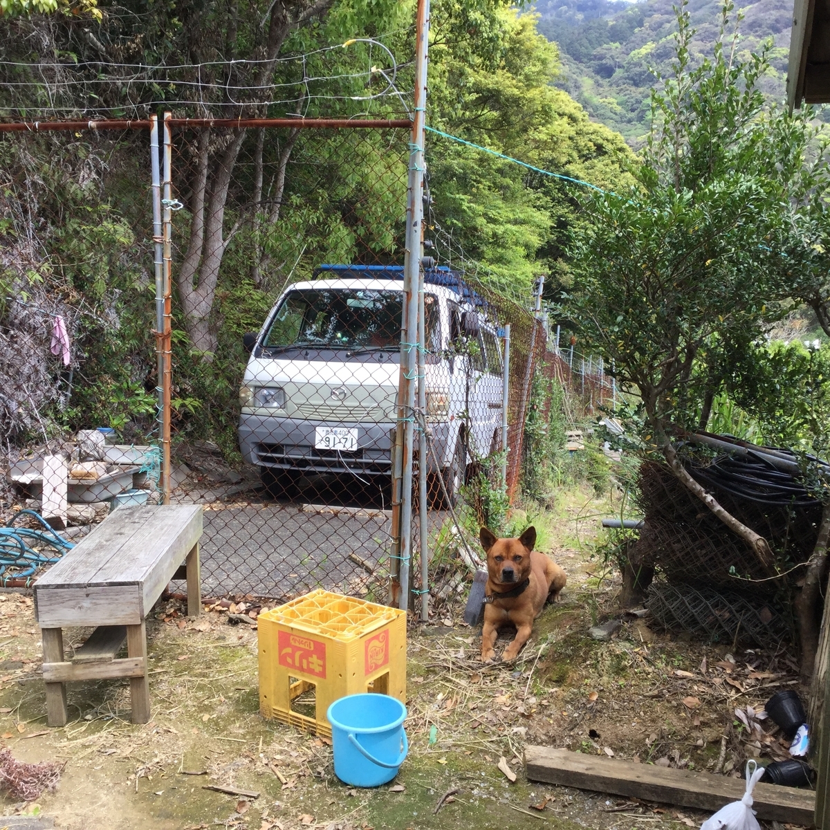 f:id:pon-pon-sun-gun:20190403234545j:plain