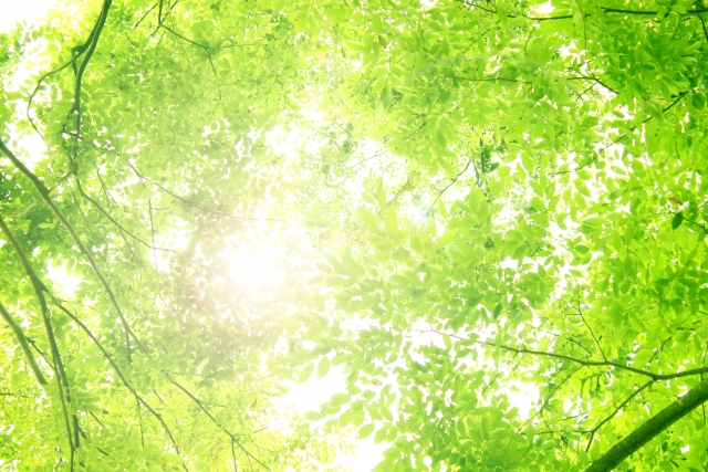 f:id:pon-san-blog:20201019112520j:plain