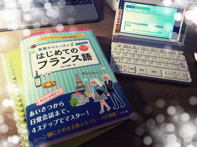 f:id:pon-san-blog:20201202195355j:plain