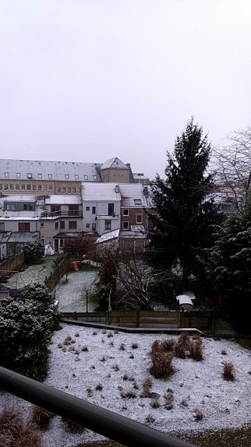 f:id:pon-san-blog:20210114183506j:plain