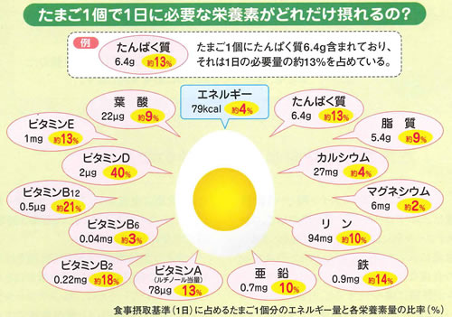 朝食 間食に最強 コスパ 満腹感 栄養素 全てを満足させる ゆで卵 について ぽんさんぽ 朝食 間食に最強 コスパ 満腹感 栄養素 全てを満足させる ゆで卵 について ぽんさんぽ
