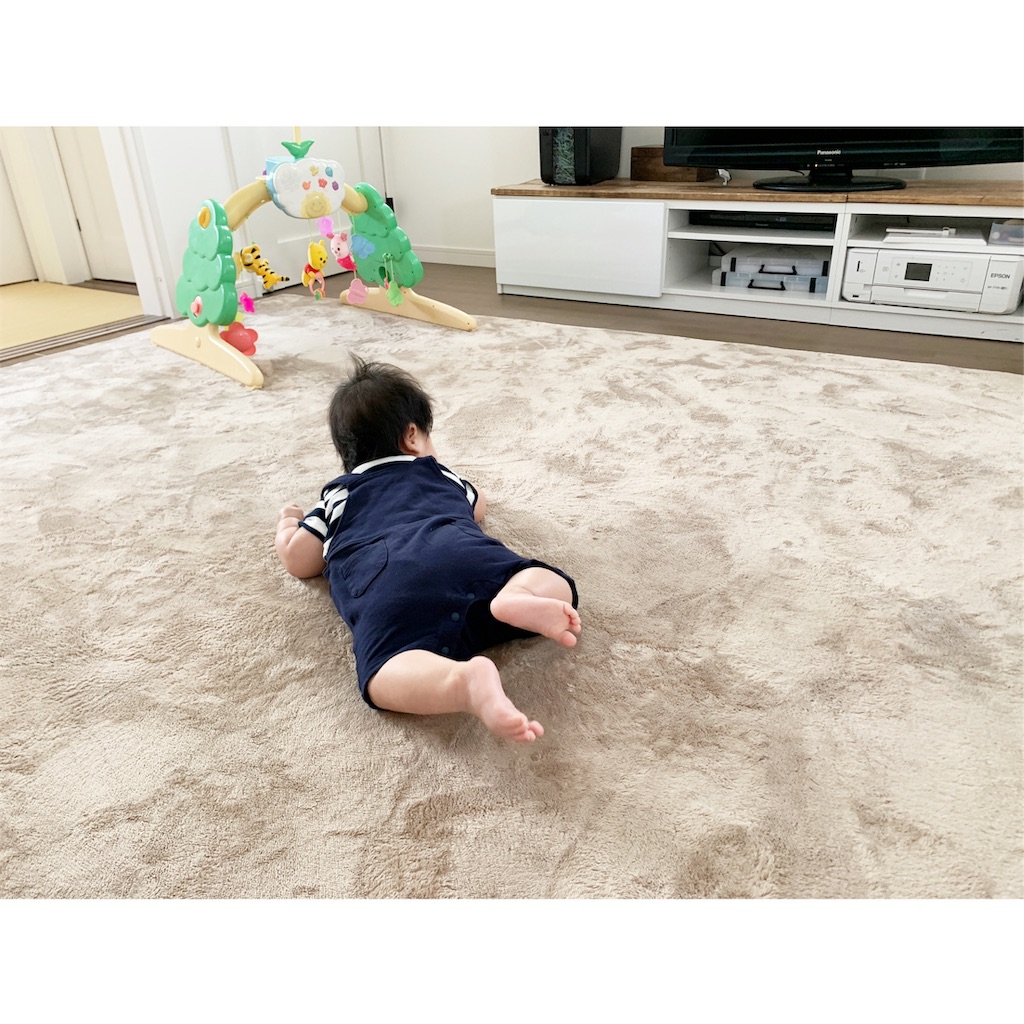 f:id:pon0401:20190517211332j:image