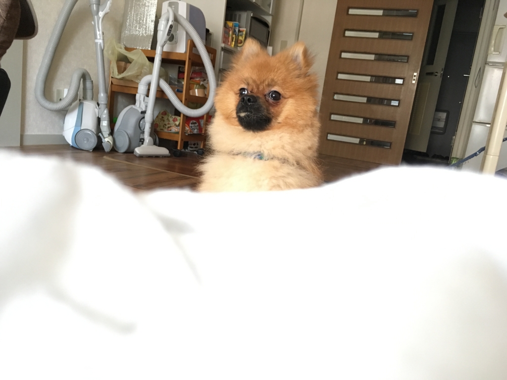 f:id:pon_ishikawa:20160729220548j:plain f:id:pon_ishikawa:20160729220548j:plain