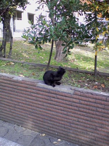 f:id:ponapalt:20091130210933j:image f:id:ponapalt:20091130210933j:image